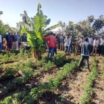 Exposure visit on vegetable & banana farming